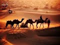 أ ت ر ج و الب ق اء ف ي د ار ت غ ي ر ه ا فرقة اربروكا