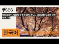 빅토리아주, 자동차 등록비 20% 환급... 대중교통 무료화 잇는 파격 지원 | SBS Korean - SBS 한국어 프로그램