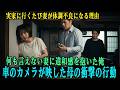 俺の実家に行くと妻がいつも体調不良に。俺「何かされた？」妻「ゴメン、言えない…」不審に思い車にカメラを仕掛け、母を連れて出掛けてみると…