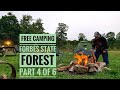 Forbes State Forest Camping