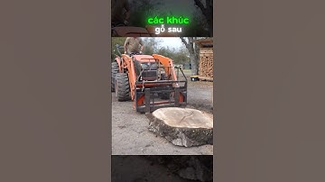 ToRun Episode 01 | Nghề cưa cây