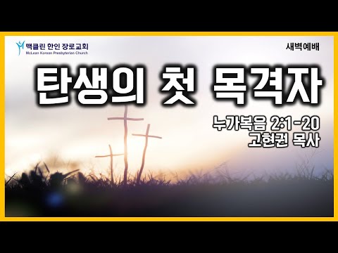 탄생의첫 목격자 썸네일