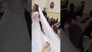 Puppy Disrupts Wedding by Rolling on Bride's Dress