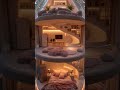 Dreamy 3 Story Glass House Bedroom Cozy Aesthetic Design mp3