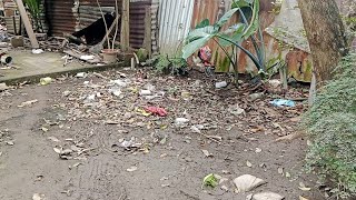 Cleaning Backyard Plus Ranting