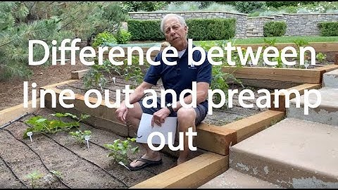 Difference between line out and preamp out