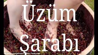 Ayak Üzüm Şarabi