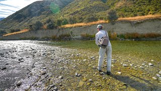 I Love this River!! Best Day Fishing Terrestrial Patterns. by Trout Hunting NZ 26,831 views 1 year ago 13 minutes, 57 seconds