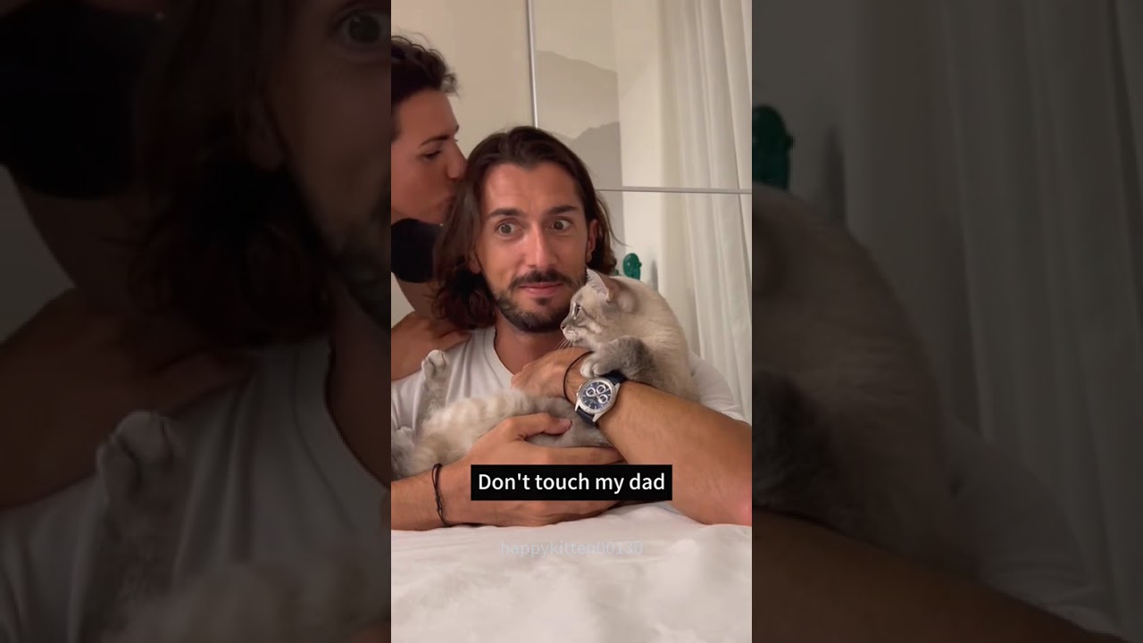 Funny CAT Moments 😂😂 episode 3572 