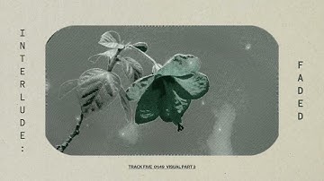 adrian chow - Interlude: Faded (Visualizer)