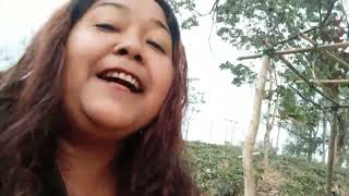 Me.su Rabako Nisua Da.alde