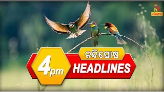 Headlines 4Pm 10Th September 2022 Nandighoshatv