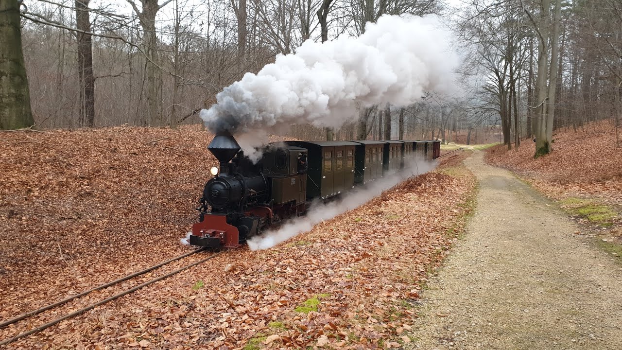 Dampflok Jung 8293 auf Probefahrt bei der Waldeisenbahn Bad Muskau am 02.01.2025