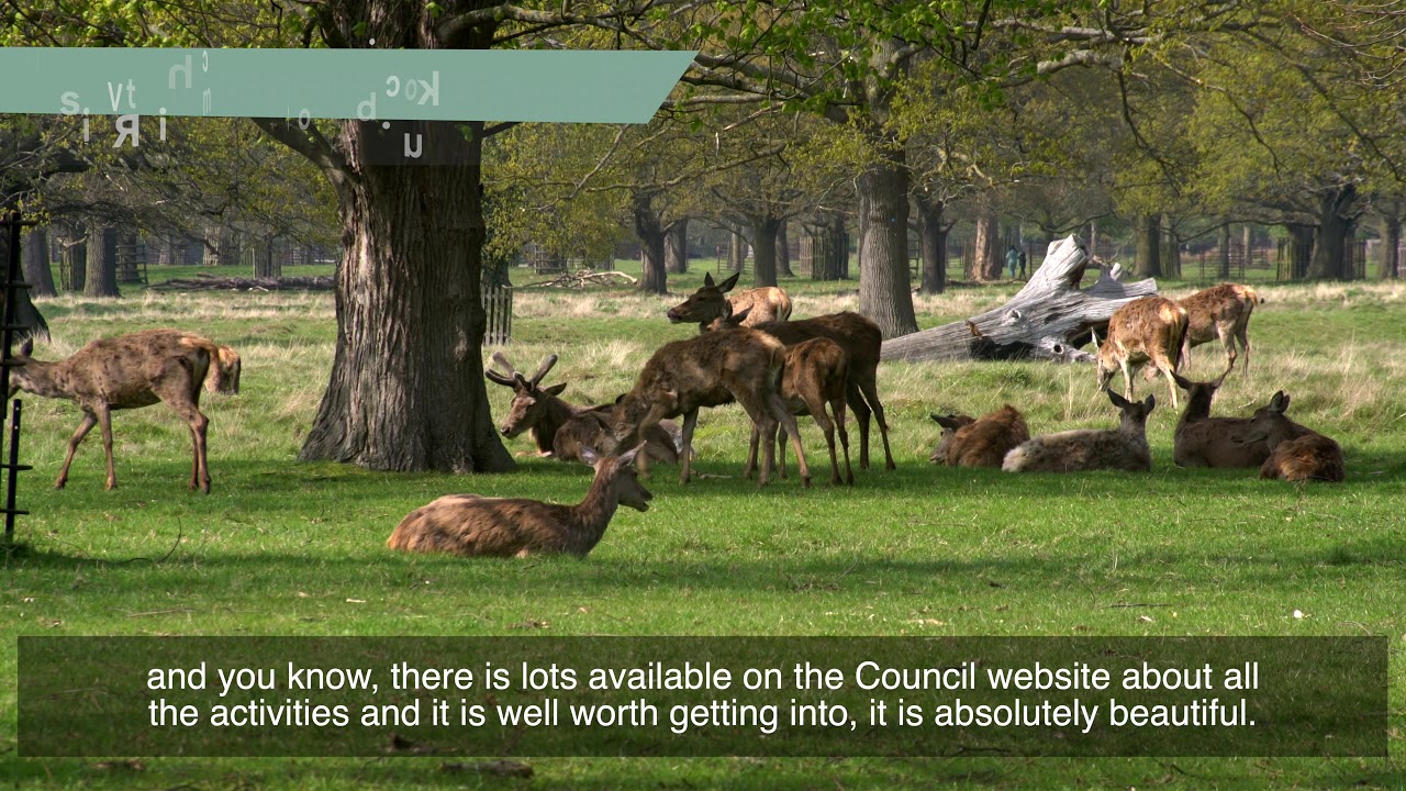 VisitRichmond: Parks and Rivers