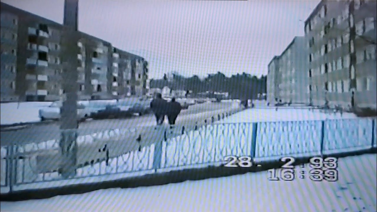 Spaziergang durch Eggesin am 28.02.1993