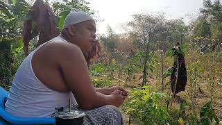 Download lagu Dzikir dipagi hari mendengarkan Alqur'an dan berkebun buah semoga barokah 26 September 2026
