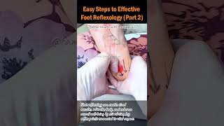 Easy Steps To Effective Foot Reflexology Part 2