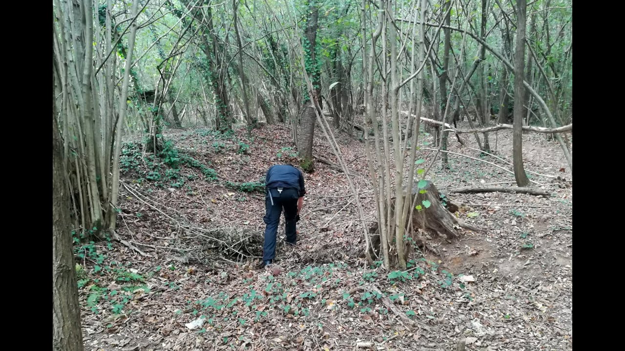 Tg Prealpina | 27 | 04 | 2022 Ore 19: blitz nei boschi della droga in Valganna