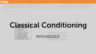 Classical Conditioning | Psychology | Chegg Tutors