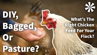 Types of Chicken FEED: Bagged vs DIY vs Pasture 🌽 Chicken Layer Feed Differences And When To Use Which 16 18 20