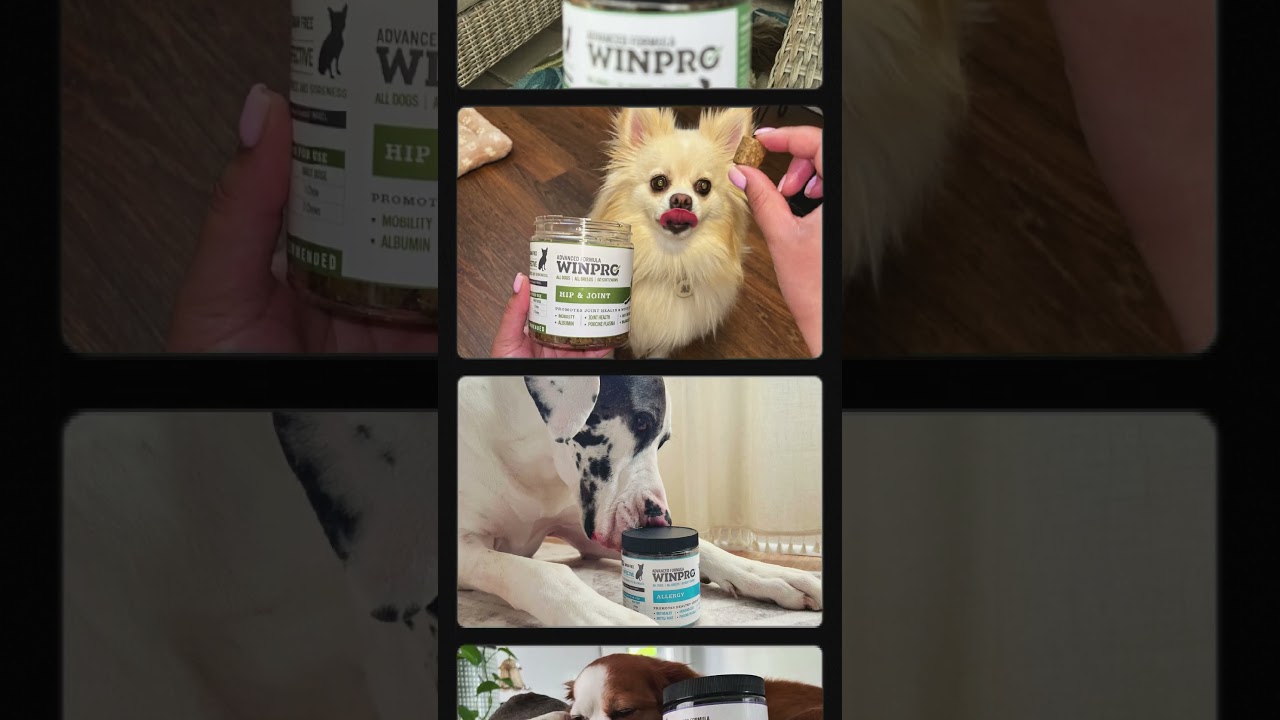 Happy National Pet Day 💛