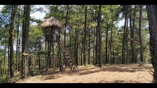 Download lagu Hutan Pinus Bukit Tunggar - SAWO - PONOROGO