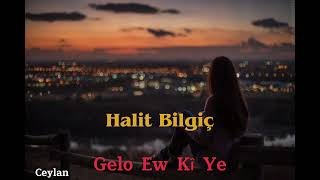 Halit Bilgiç  - Gelo Ew Kî Ye (slowed + reverb)#2021 Resimi