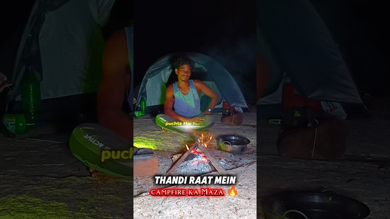 my night forest camping 🏕️ 