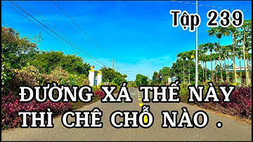 cô thu rao bán mảnh đất vườn trên con đường hoa đẹp khỏi chê ở bà rịa vũng tàu