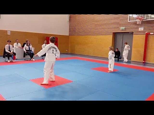 WhatsApp Video 2025 11 05 at 15 05 49