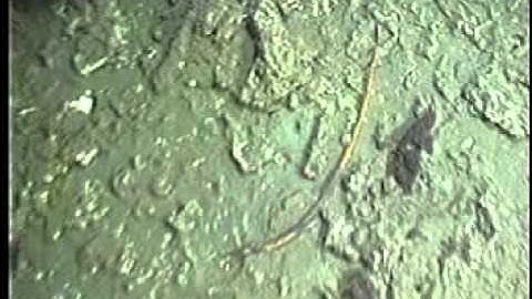 C0212SC_Tape17o.noaudio.mpg