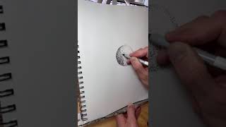 Stippling Timelapse (VWCC)