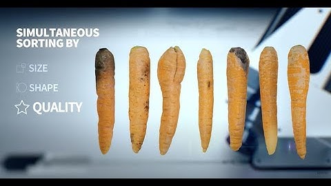 Newtec Optical Grading of Carrots by Quality, Size and Shape