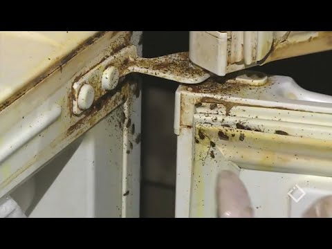 ინდური რესტორანი 26 მაისის ქუჩაზე - თურქული რესტორანი ლიმანი - ახალი გემი - ტუალეტი ბულვარში