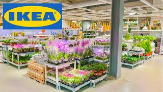 IKEA Plant Shopping | £7 String Of Hearts!