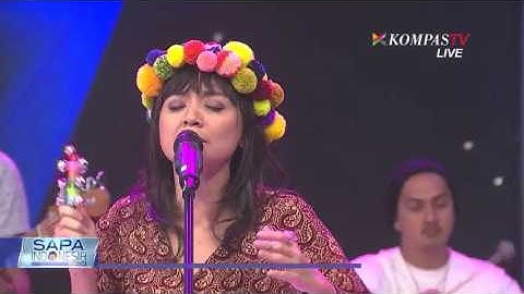 Stars and Rabbit - The House