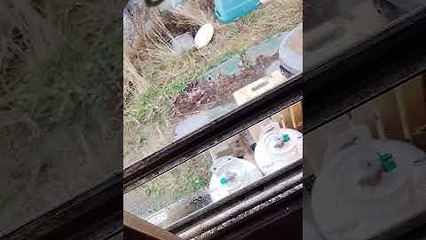 Starting Our Day November 25th, 2025 😊 ❤️ 😺