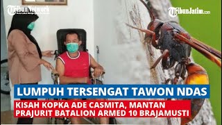 Kisah Kopka Ade Casmita, Mantan Prajurit TNI Yang Lumpuh Usai Disengat Tawon Ndas Kisah Kopka Ade Casmita, Mantan Prajurit TNI Yang Lumpuh Usai Disengat Tawon Ndas