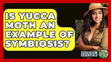 Is Yucca Moth An Example Of Symbiosis? - Ecosystem Essentials