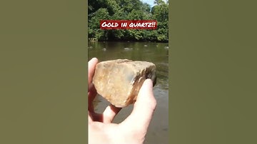 Gold in Quartz!! #gold #goldrush #quartz #prospecting #dredging #geology #goldmining #rockhounding