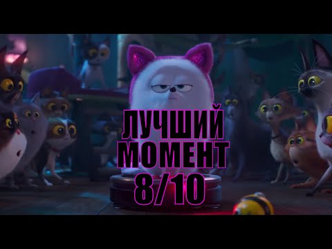 Кадр из фильма «Тайная жизнь домашних животных 2»
