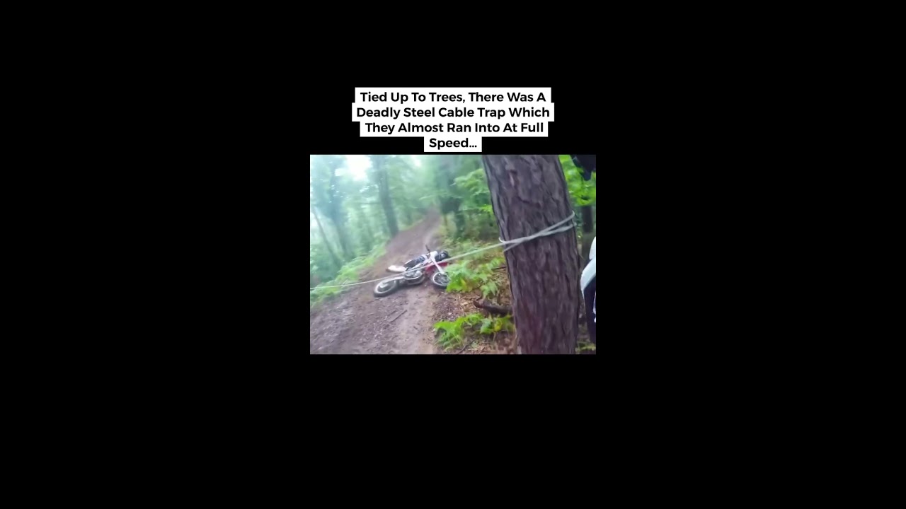 Terrifying Things Found Deep In The Woods Trending Shorts