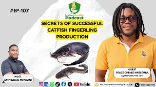 Secrets of Successful Catfish Fingerling Production