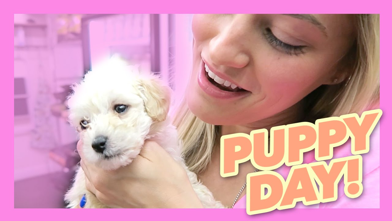 Cutest puppy video ever! | iJustine