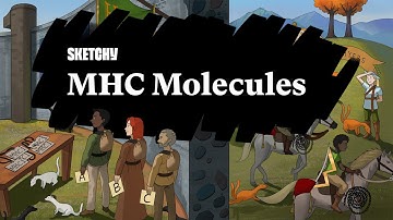 MHC Molecules: Key in Immune Response (Part 1) | Sketchy Medical | USMLE Step 1