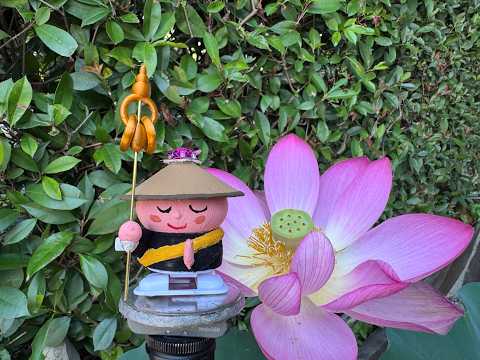 令和8年8月22日暁天坐禅 - YouTube