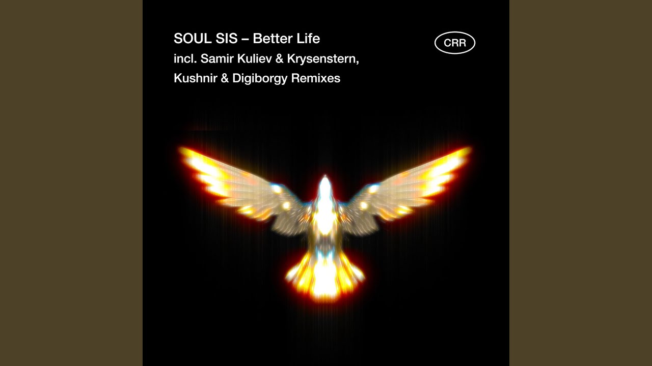 Better Life (Samir Kuliev, Krysenstern Remix)