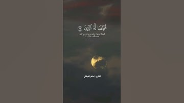 سورة الزمر || اكتب شيئا تؤجر عليه.