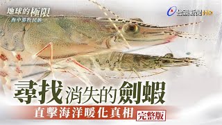 尋找消失的劍蝦 直擊海洋暖化真相【地球的極限】｜海中游牧民族｜完整版