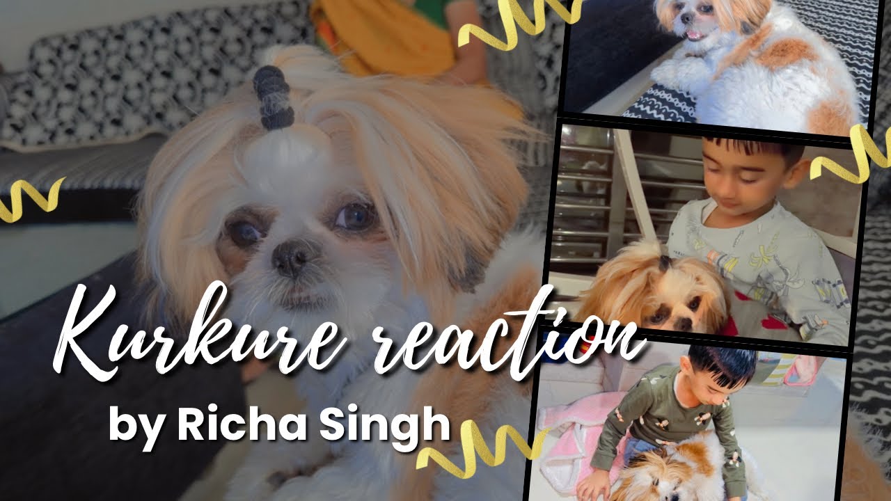 Kurkure reaction towards everyone 🥹🤧🧿 almost 7 months baad aaya ghar🪬♥️